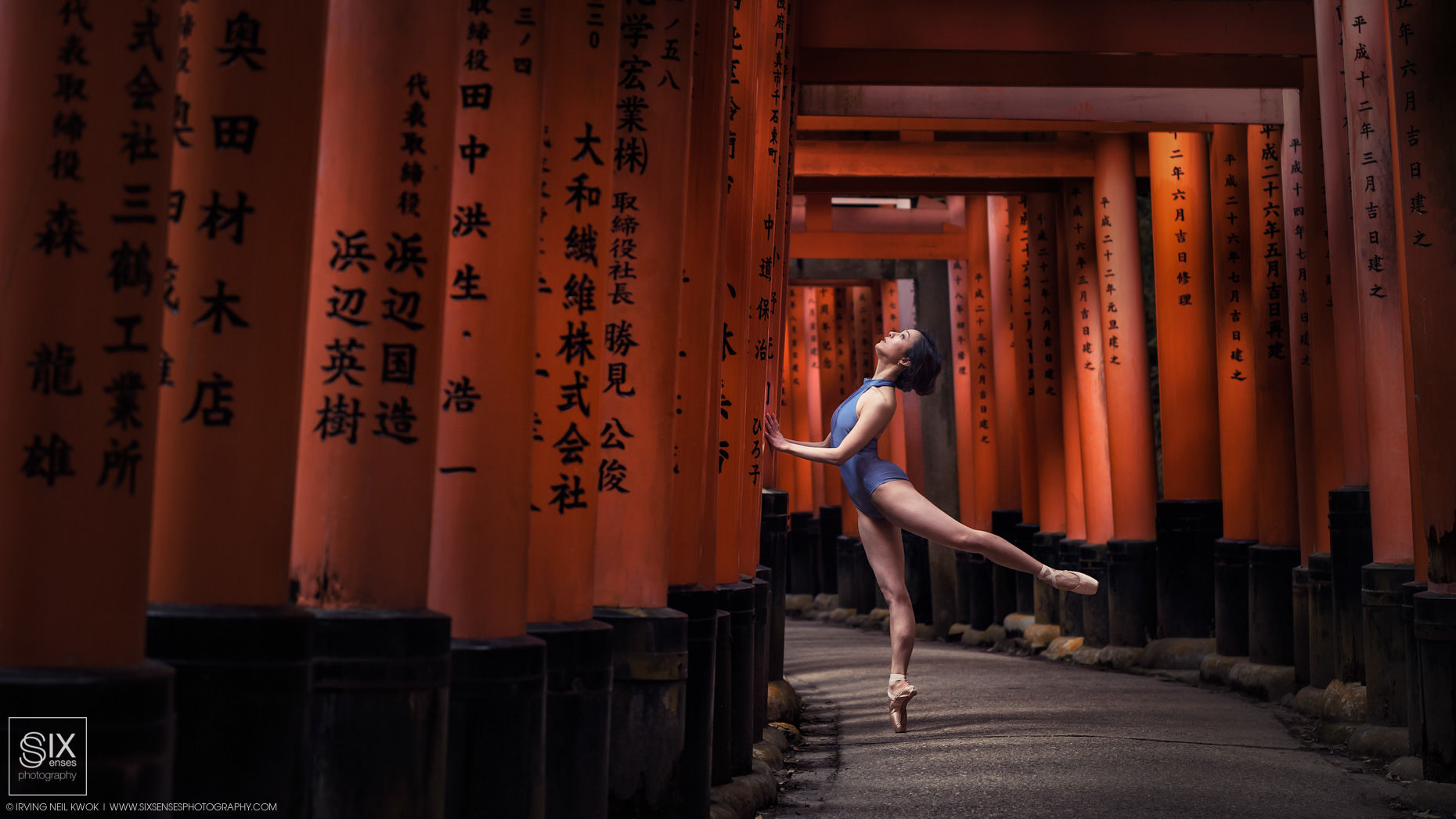 6sp-DSC_2372